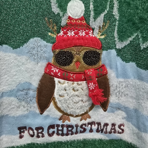 Holiday Time Owl Be Home For Christmas Sweater Size 14-16 Plus - Picture 2 of 5